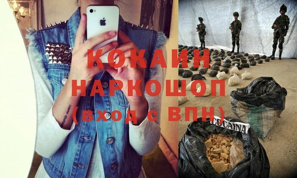 ГАЛЛЮЦИНОГЕННЫЕ ГРИБЫ Каменка