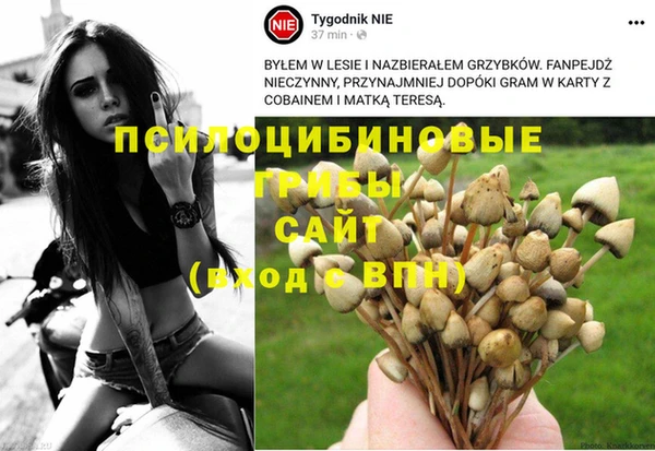 крисы Каменногорск