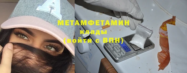 ГАЛЛЮЦИНОГЕННЫЕ ГРИБЫ Каменка