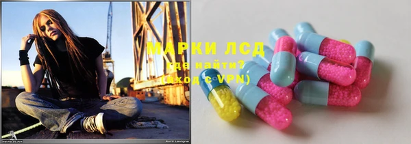 ГАЛЛЮЦИНОГЕННЫЕ ГРИБЫ Каменка
