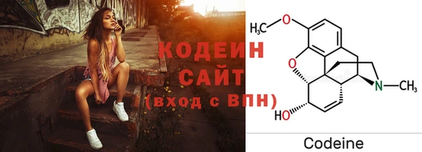 ГАЛЛЮЦИНОГЕННЫЕ ГРИБЫ Каменка