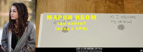 ГАЛЛЮЦИНОГЕННЫЕ ГРИБЫ Каменка