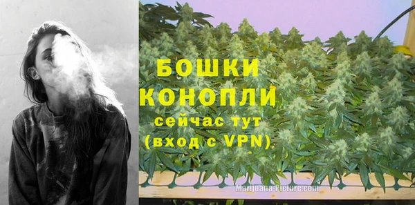 крисы Каменногорск