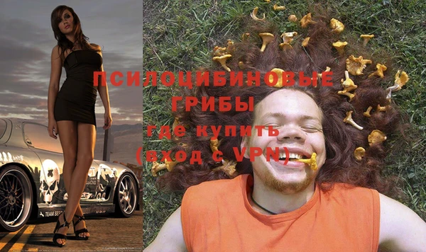 крисы Каменногорск