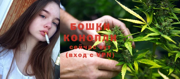 крисы Каменногорск