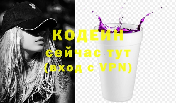 ГАЛЛЮЦИНОГЕННЫЕ ГРИБЫ Каменка