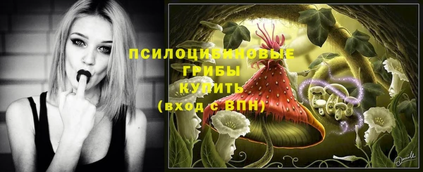 ГАЛЛЮЦИНОГЕННЫЕ ГРИБЫ Каменка