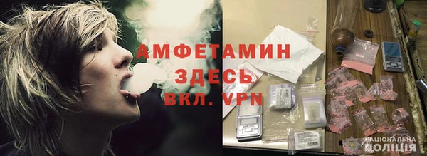 крисы Каменногорск