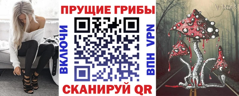 Галлюциногенные грибы MAGIC MUSHROOMS  Купить закладки  Змеиногорск 